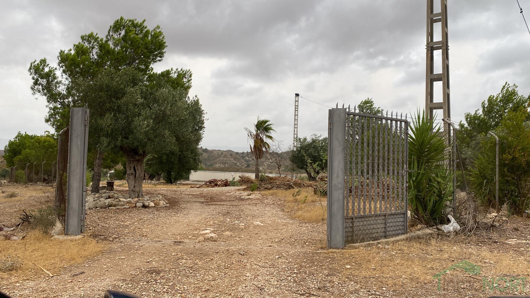 Venta de finca rústica en Cartagena