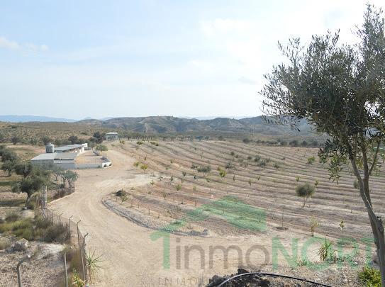 Venta de finca rústica en Cartagena