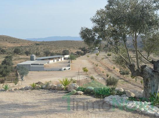 Venta de finca rústica en Cartagena