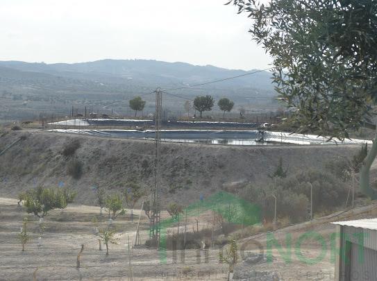 Venta de finca rústica en Cartagena