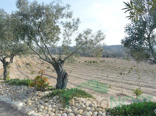 Venta de finca rústica en Cartagena