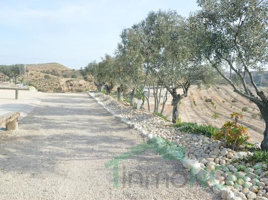 Venta de finca rústica en Cartagena