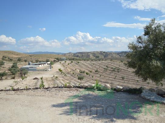 Venta de finca rústica en Cartagena