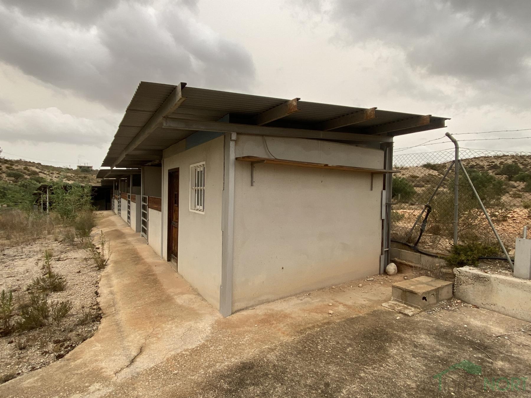 Venta de finca rústica en Cartagena