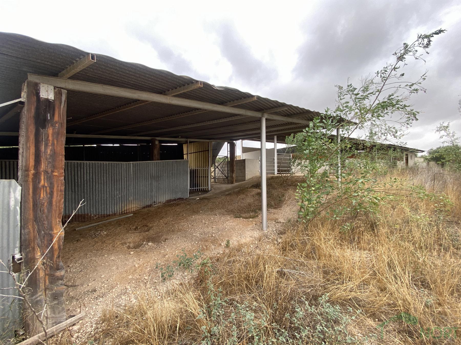 Venta de finca rústica en Cartagena
