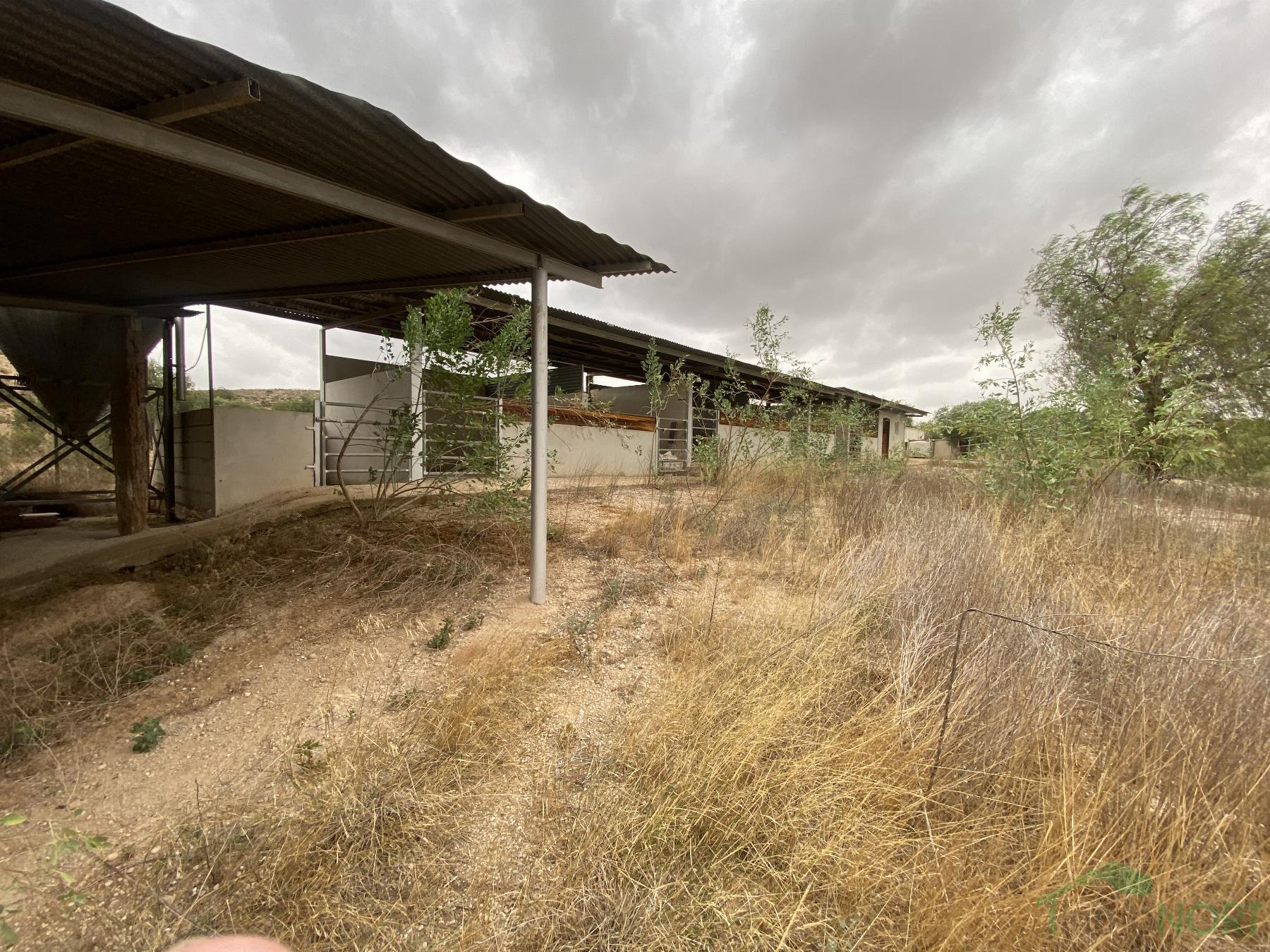 Venta de finca rústica en Cartagena