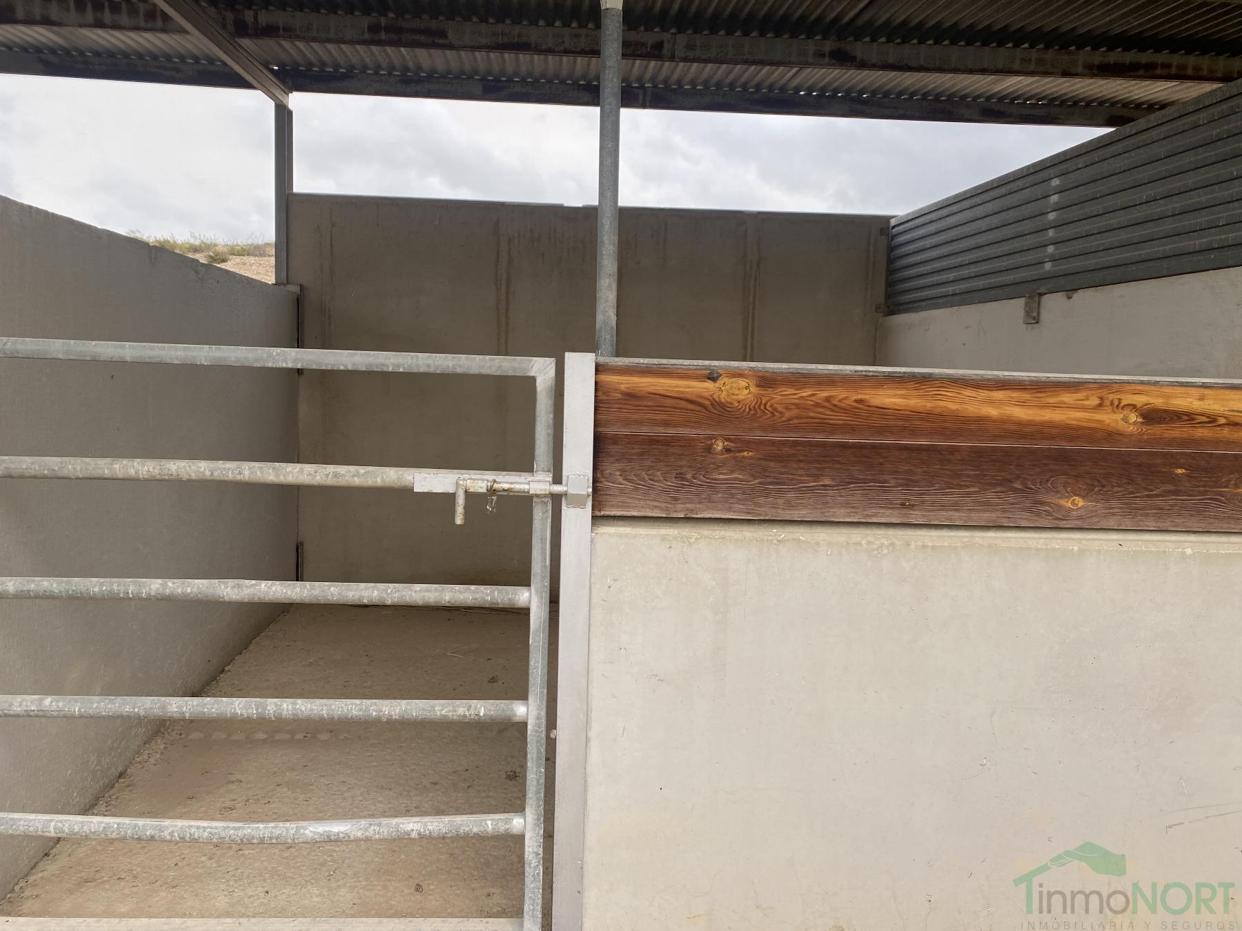 Venta de finca rústica en Cartagena
