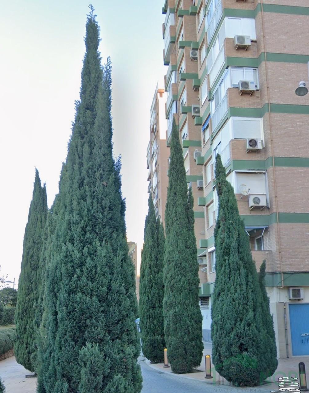 Venta de piso en Cartagena