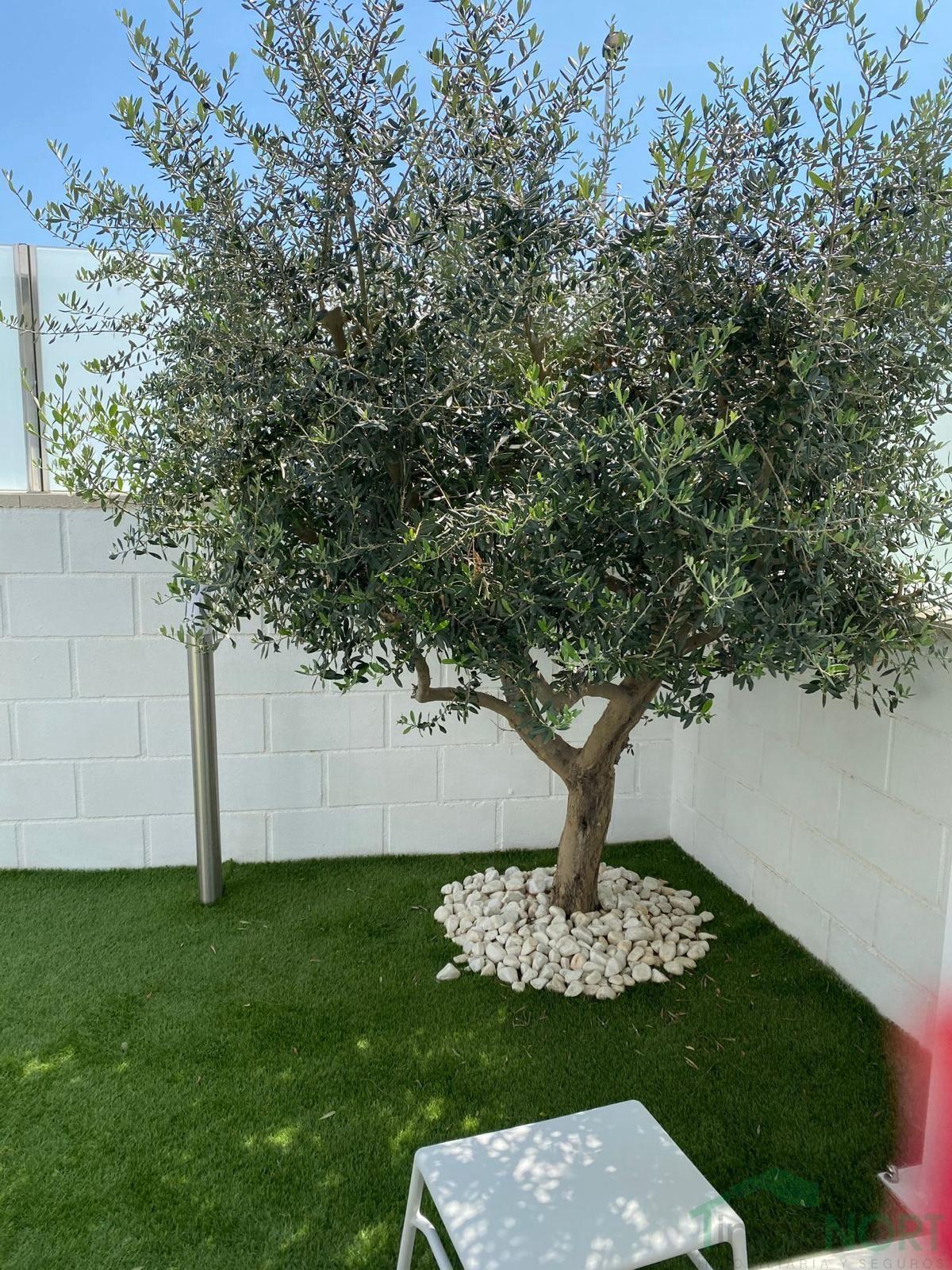 Venta de chalet en Alicante