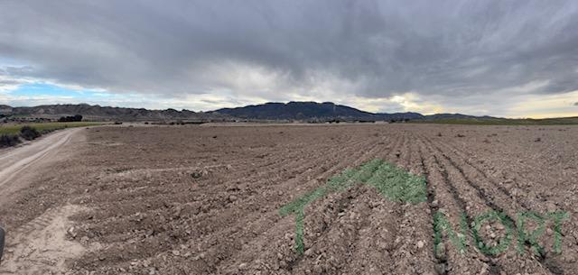 Venta de finca rústica en Lorca Venta de finca rústica en Lorca