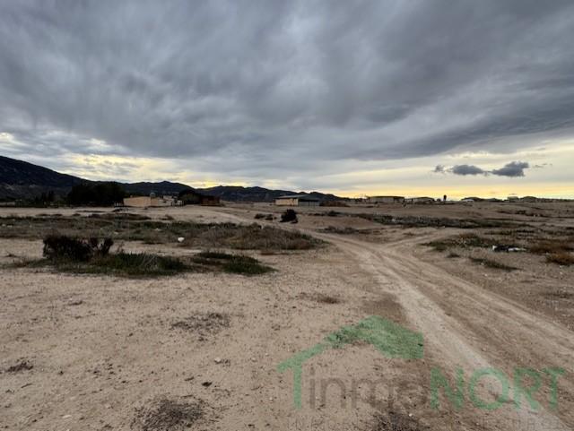 For sale of rural property in Lorca