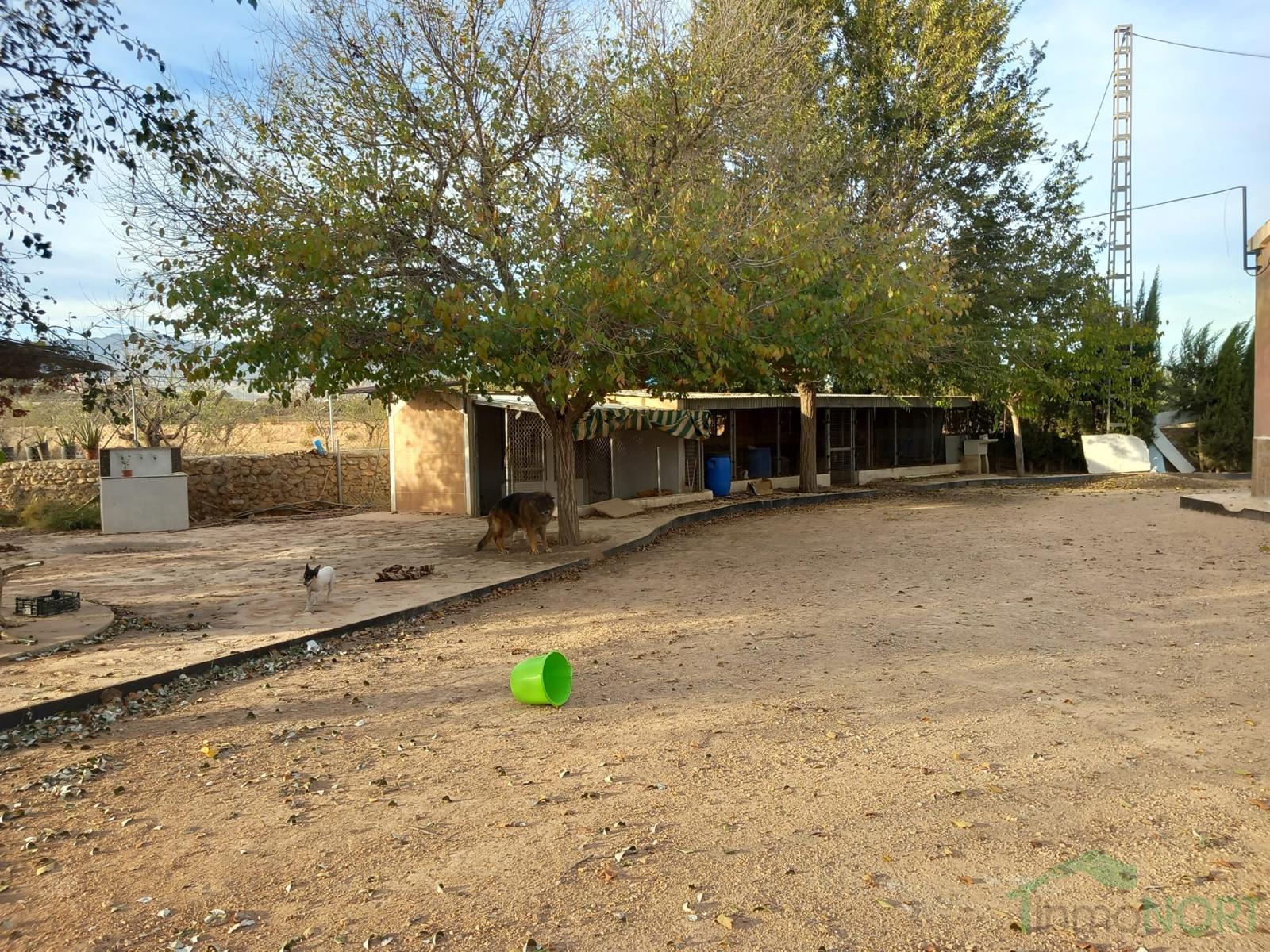 Venta de casa en Fuente Álamo de Murcia Venta de casa en Fuente Álamo de Murcia