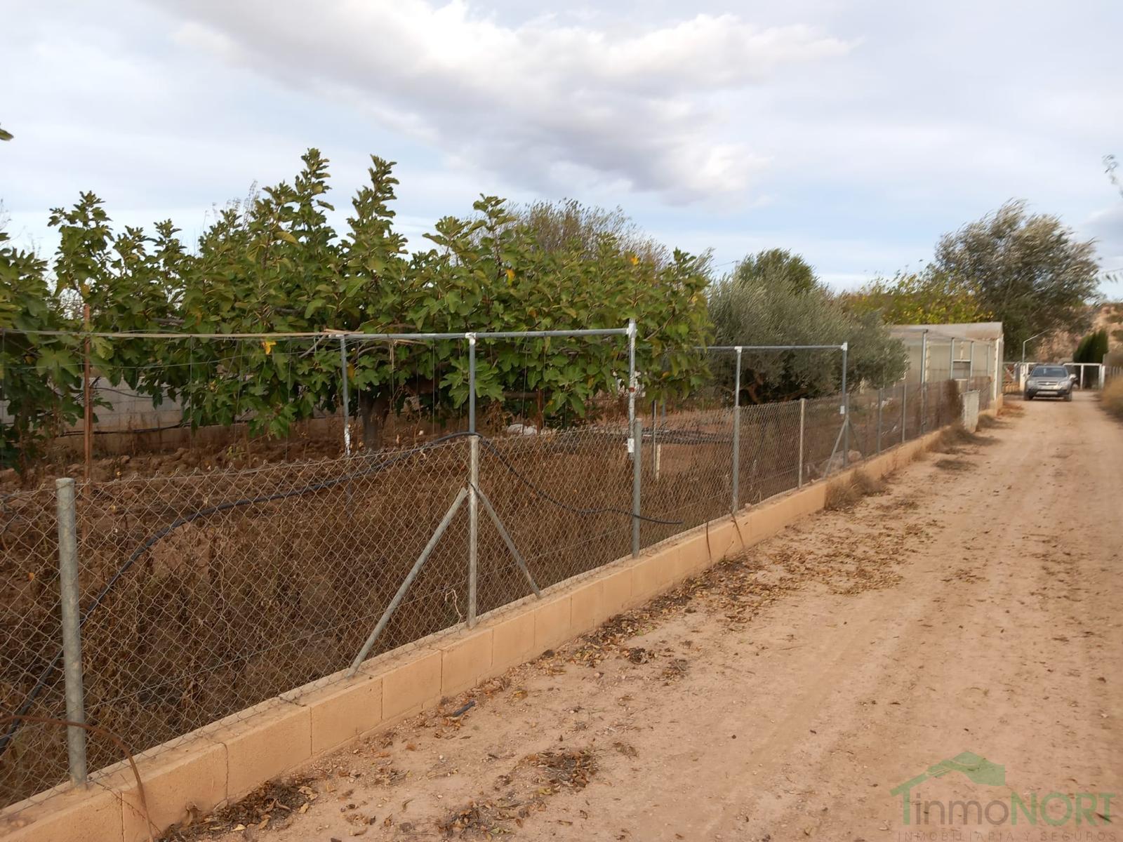 Venta de casa en Fuente Álamo de Murcia Venta de casa en Fuente Álamo de Murcia