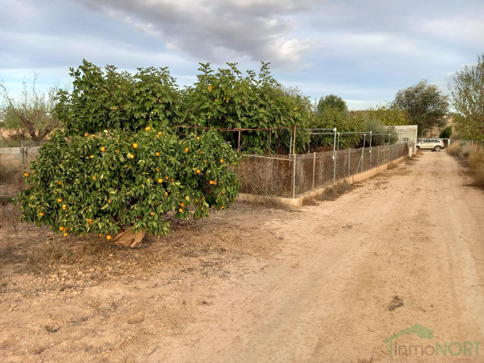 Venta de casa en Fuente Álamo de Murcia Venta de casa en Fuente Álamo de Murcia