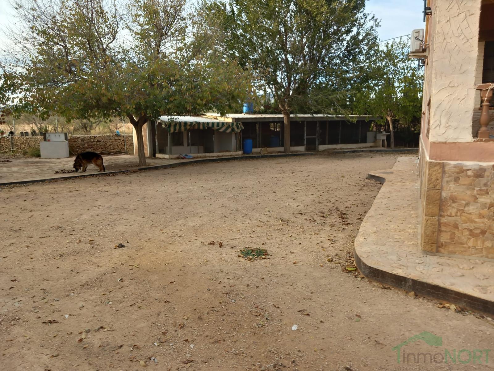 Venta de casa en Fuente Álamo de Murcia Venta de casa en Fuente Álamo de Murcia