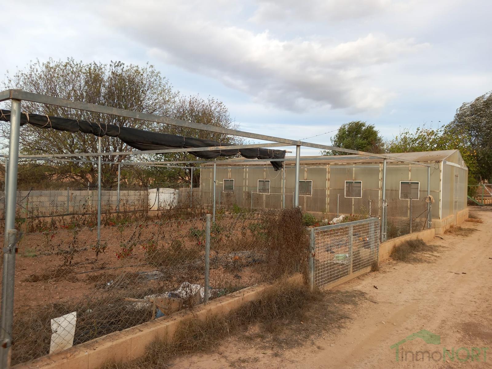 Venta de casa en Fuente Álamo de Murcia Venta de casa en Fuente Álamo de Murcia