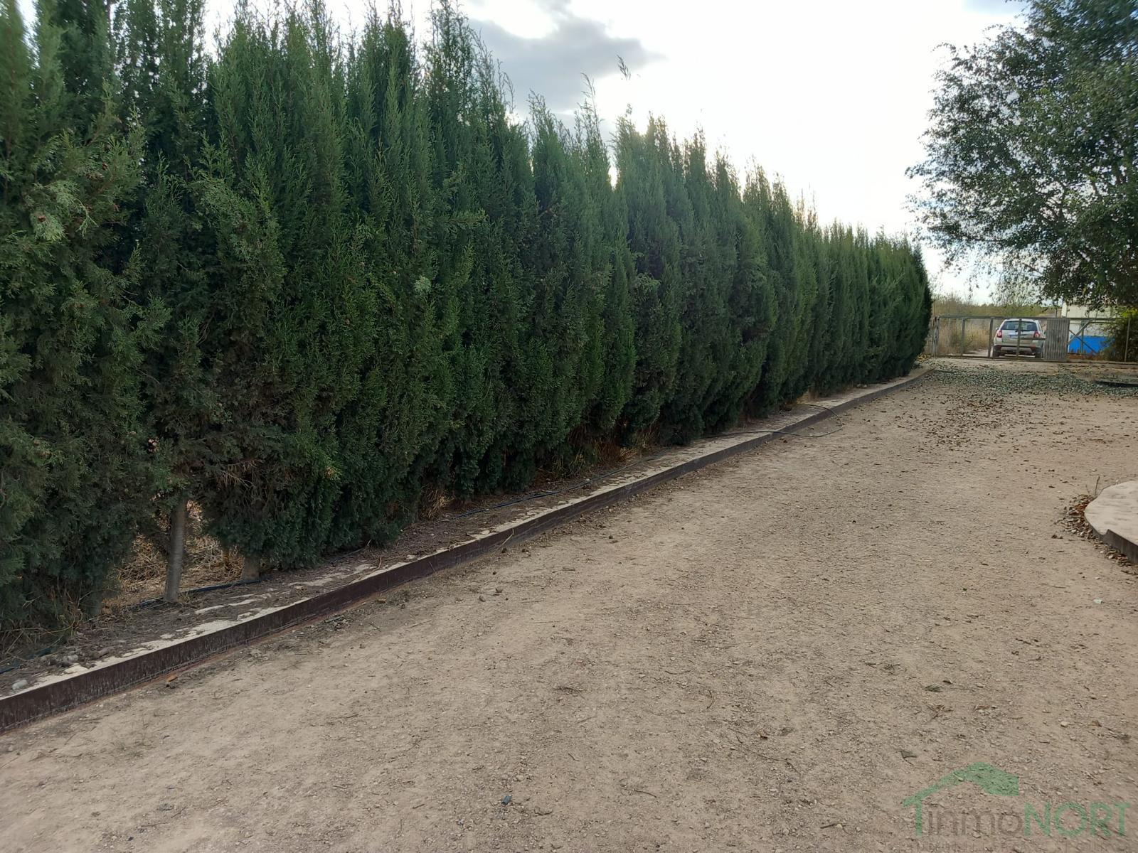 Venta de casa en Fuente Álamo de Murcia Venta de casa en Fuente Álamo de Murcia