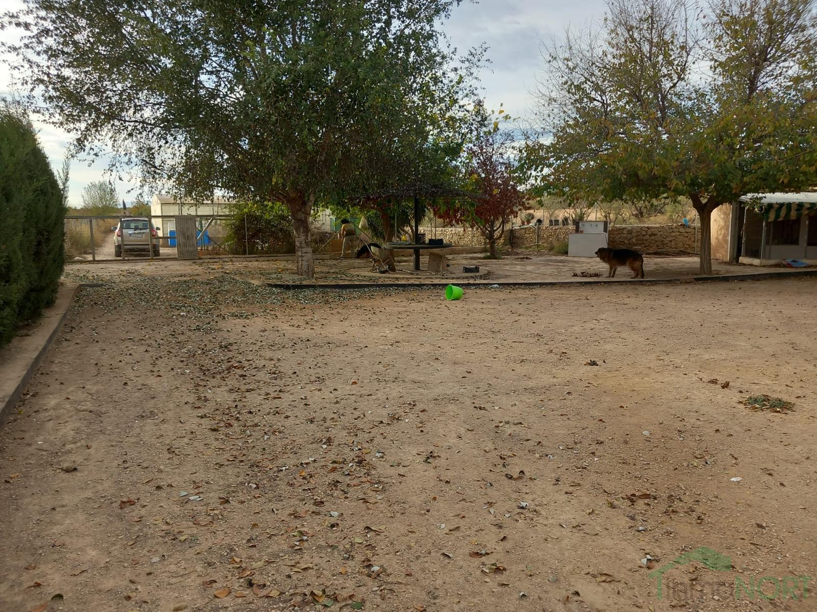 Venta de casa en Fuente Álamo de Murcia Venta de casa en Fuente Álamo de Murcia