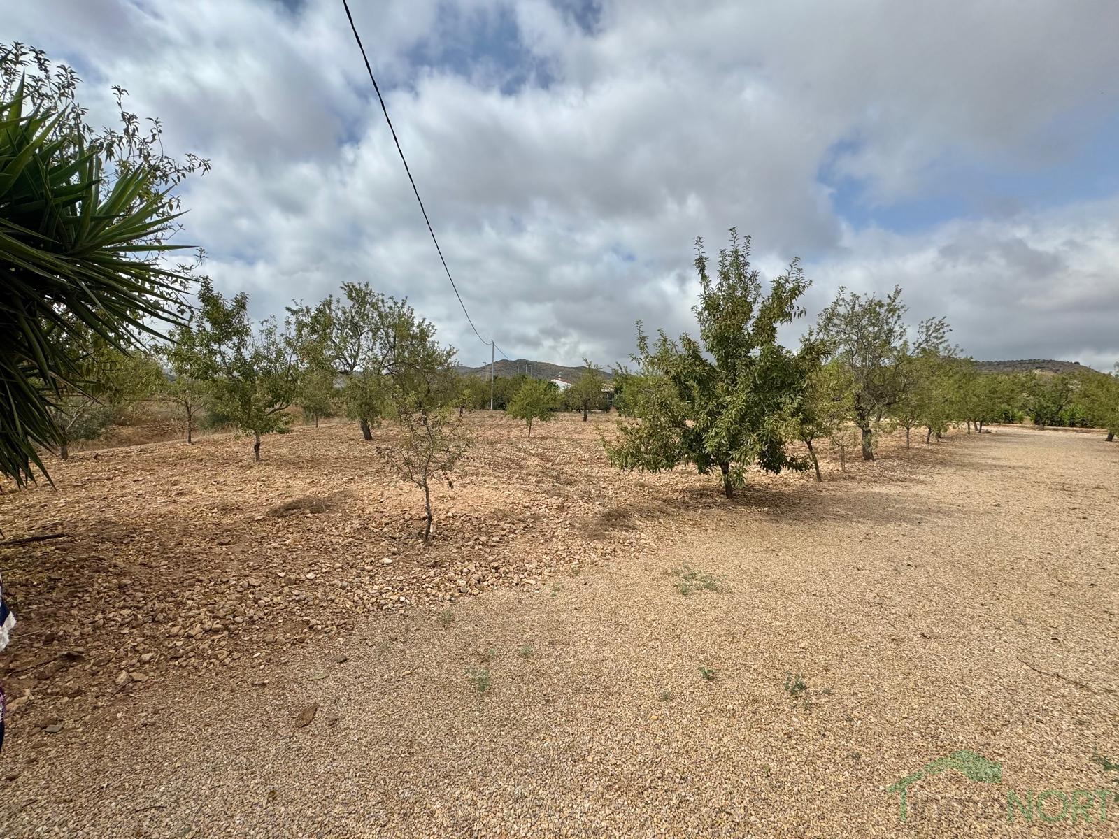 Venta de chalet en Fuente Álamo de Murcia Venta de chalet en Fuente Álamo de Murcia