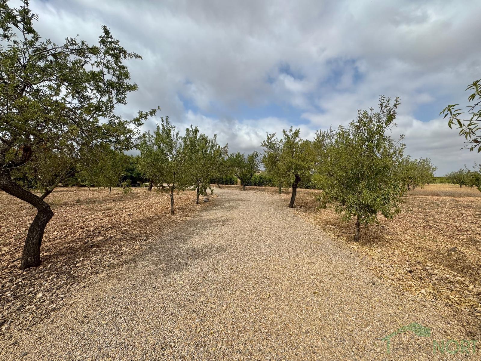 Venta de chalet en Fuente Álamo de Murcia Venta de chalet en Fuente Álamo de Murcia