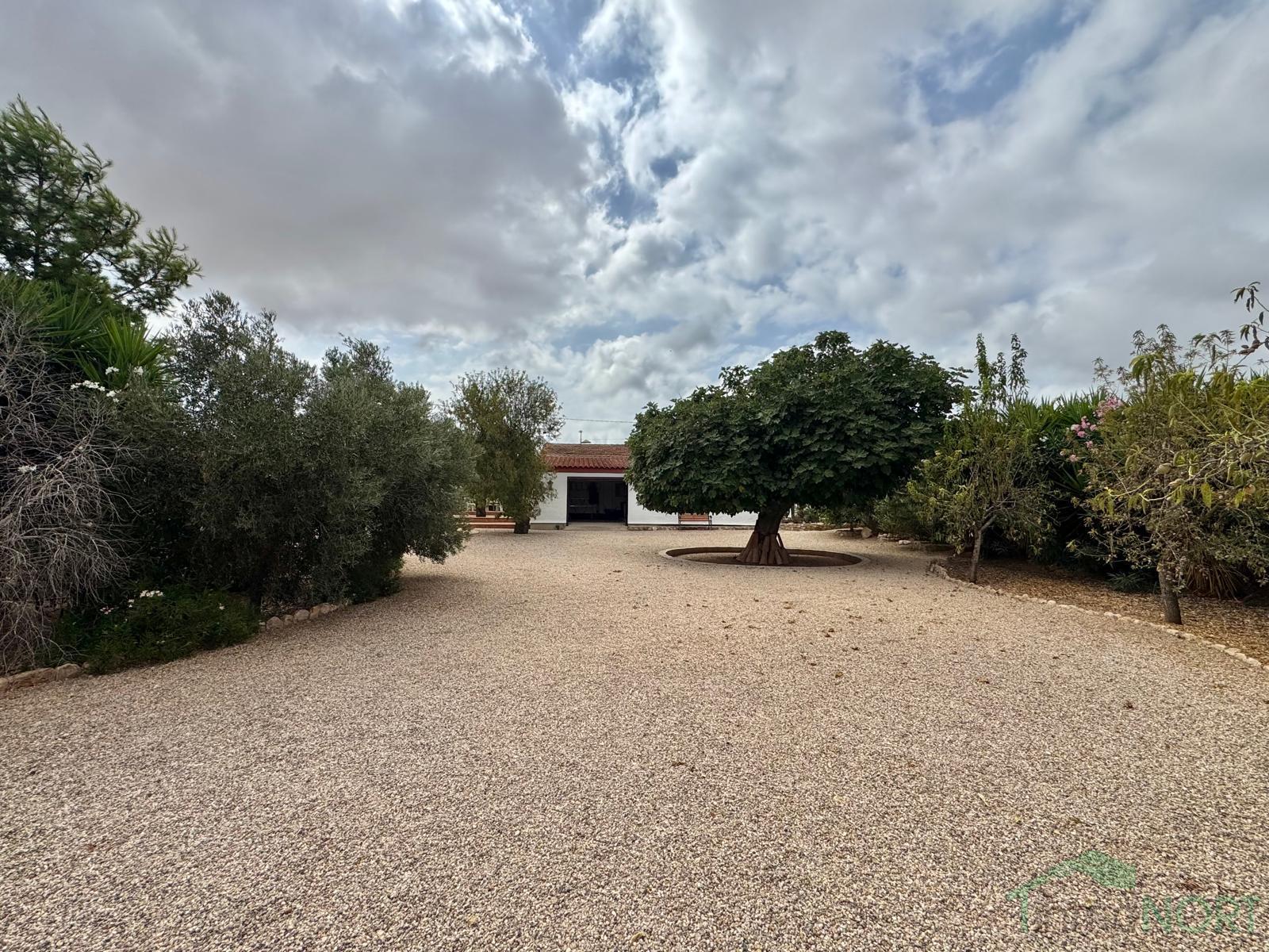 Venta de chalet en Fuente Álamo de Murcia Venta de chalet en Fuente Álamo de Murcia