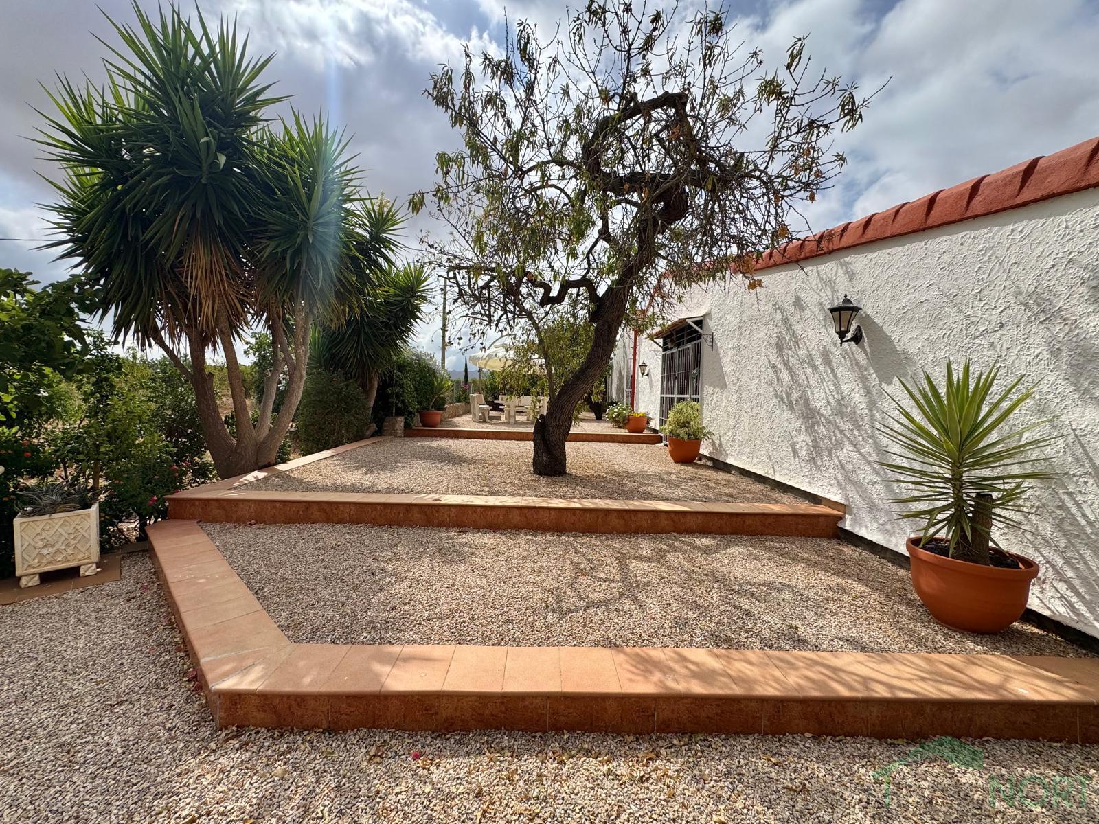 Venta de chalet en Fuente Álamo de Murcia Venta de chalet en Fuente Álamo de Murcia