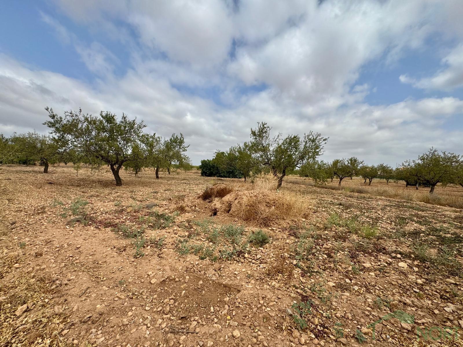 Venta de chalet en Fuente Álamo de Murcia Venta de chalet en Fuente Álamo de Murcia