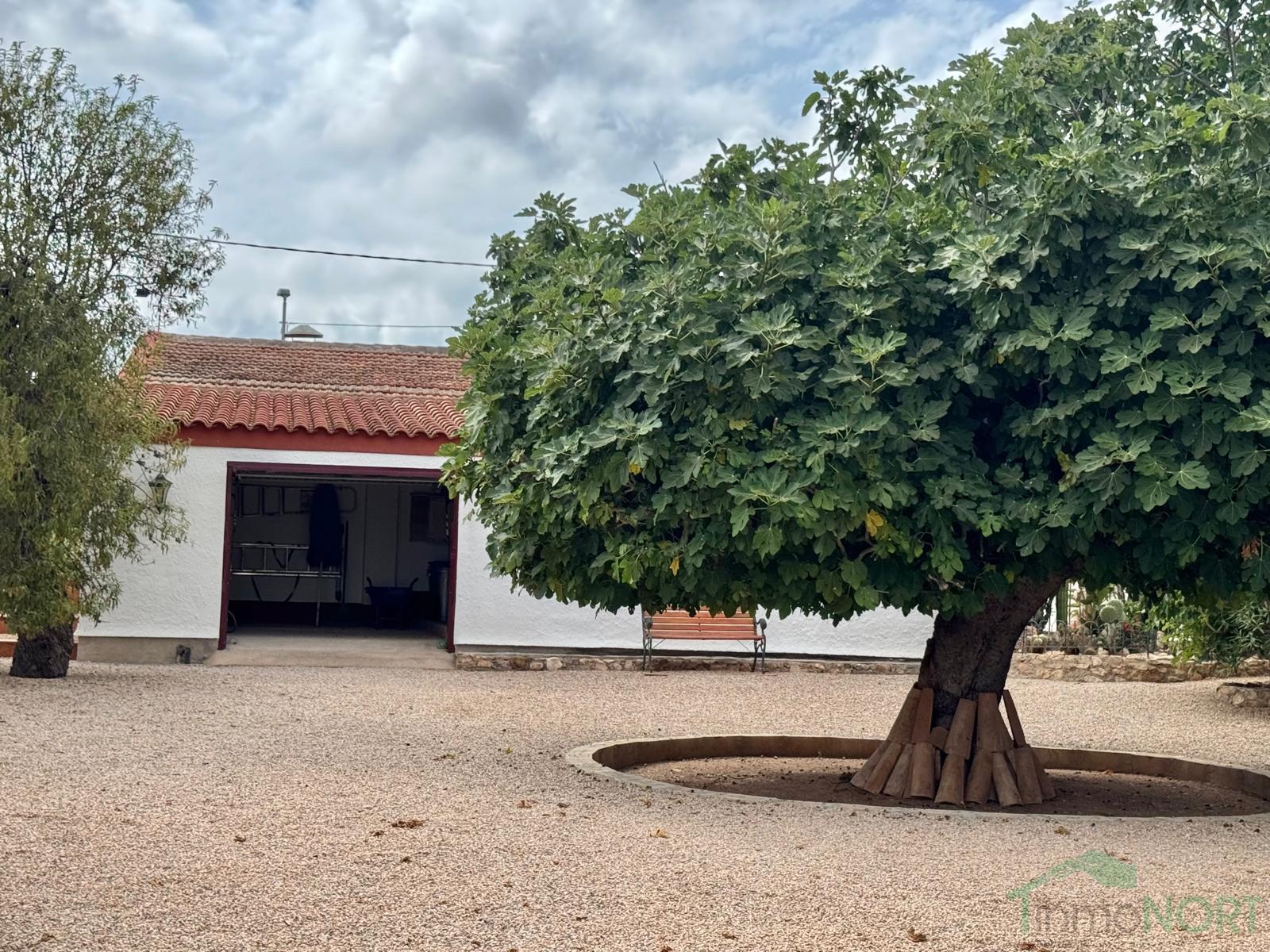 Venta de chalet en Fuente Álamo de Murcia Venta de chalet en Fuente Álamo de Murcia