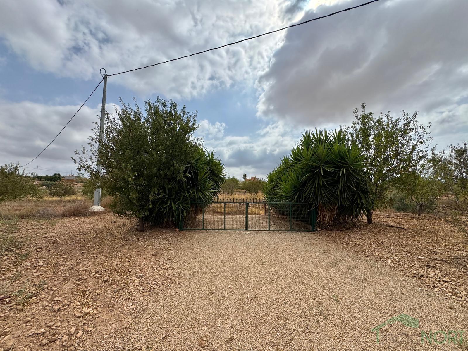 Venta de chalet en Fuente Álamo de Murcia Venta de chalet en Fuente Álamo de Murcia