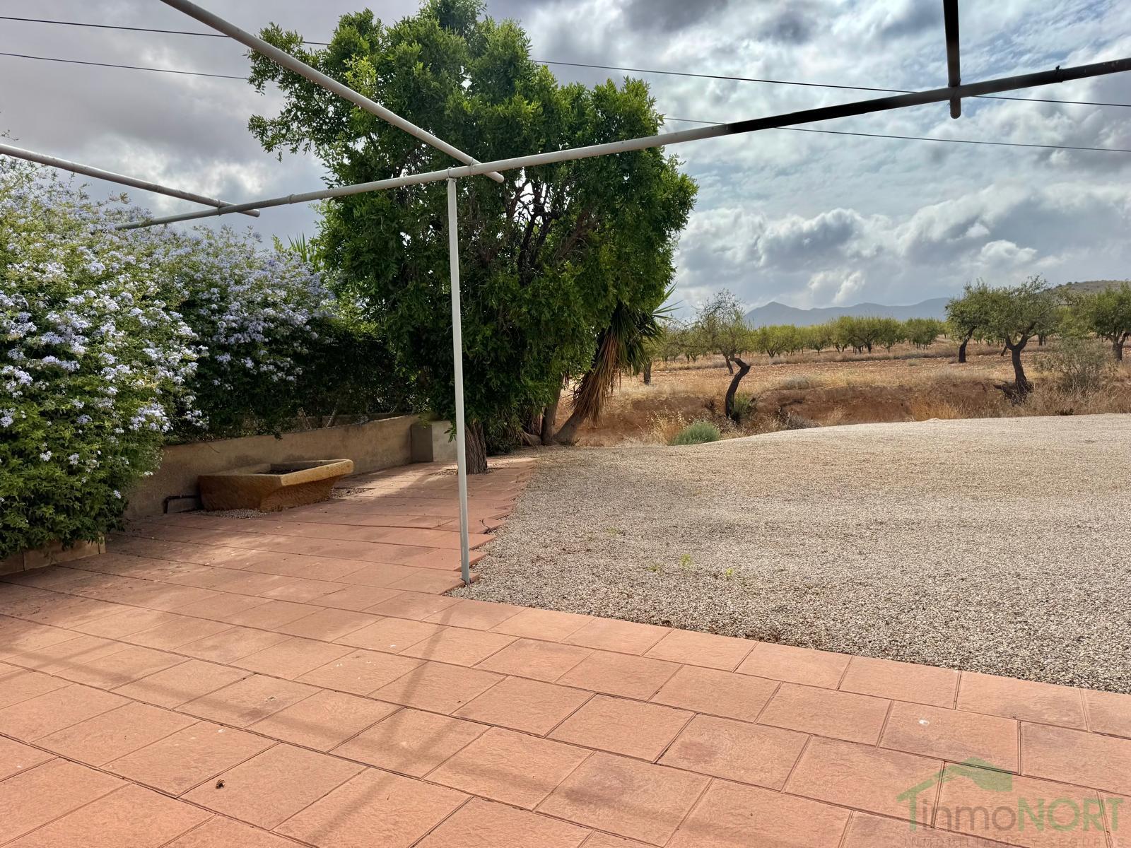 Venta de chalet en Fuente Álamo de Murcia Venta de chalet en Fuente Álamo de Murcia