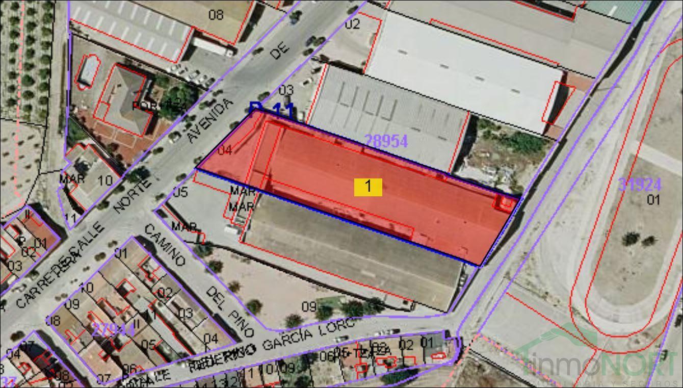 Venta de nave en Almoradí Venta de nave en Almoradí