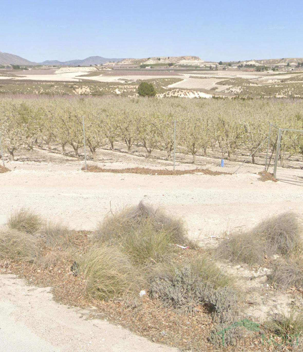 Venta de finca rústica en Cieza