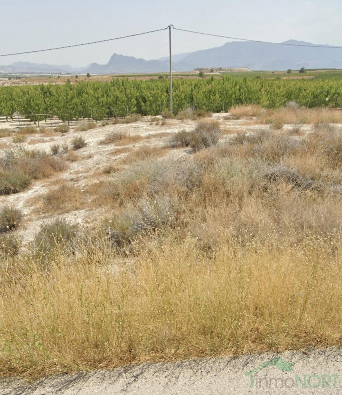 Venta de finca rústica en Cieza