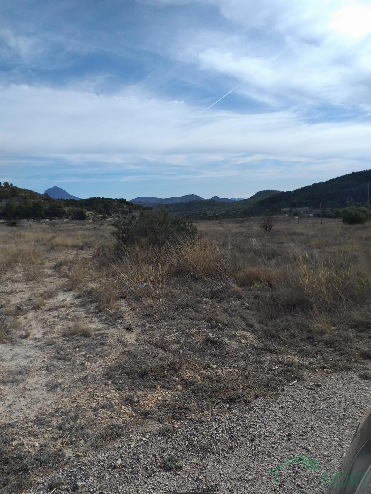 For sale of rural property in Relleu