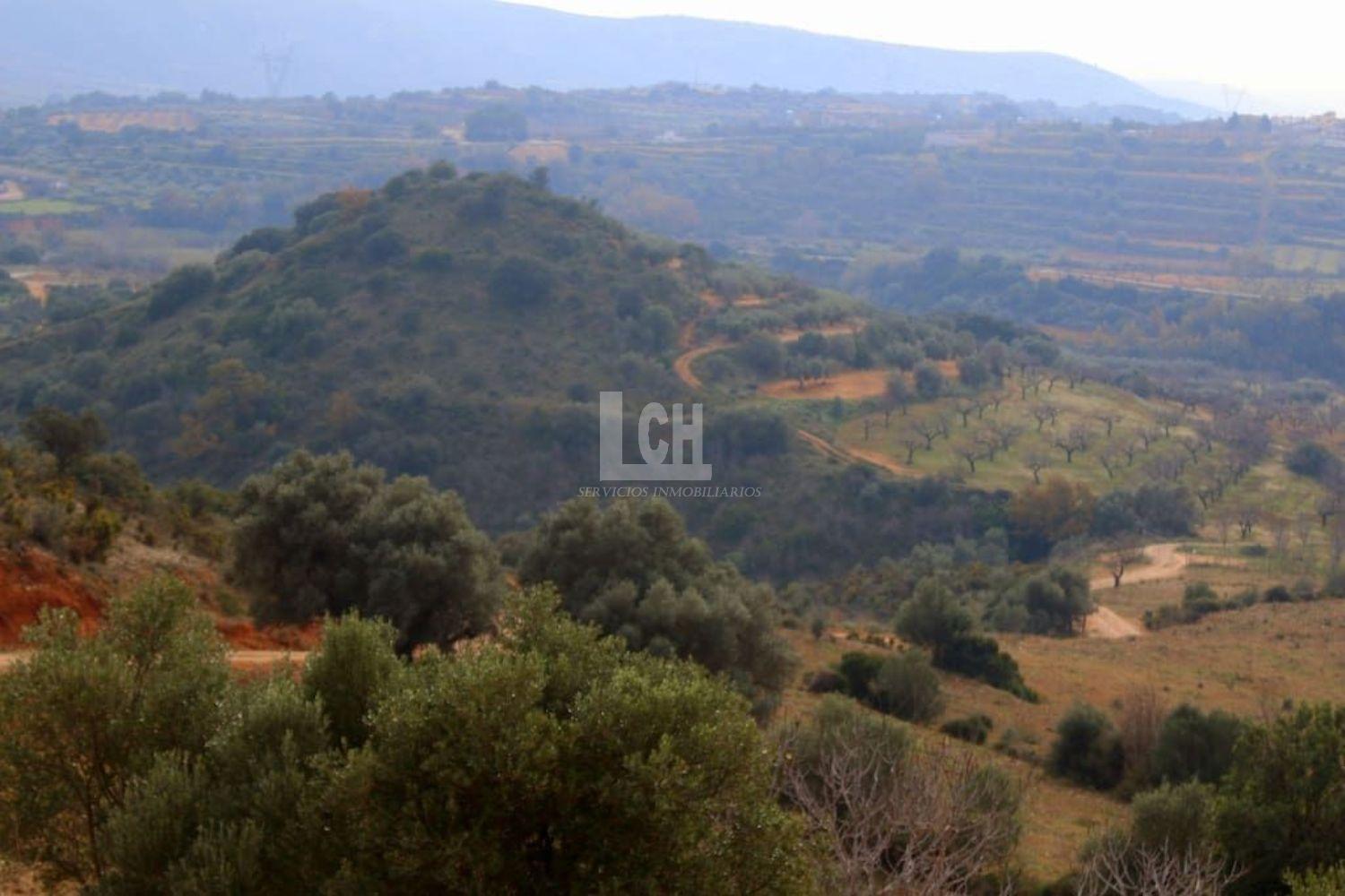 For sale of rural property in Salsadella