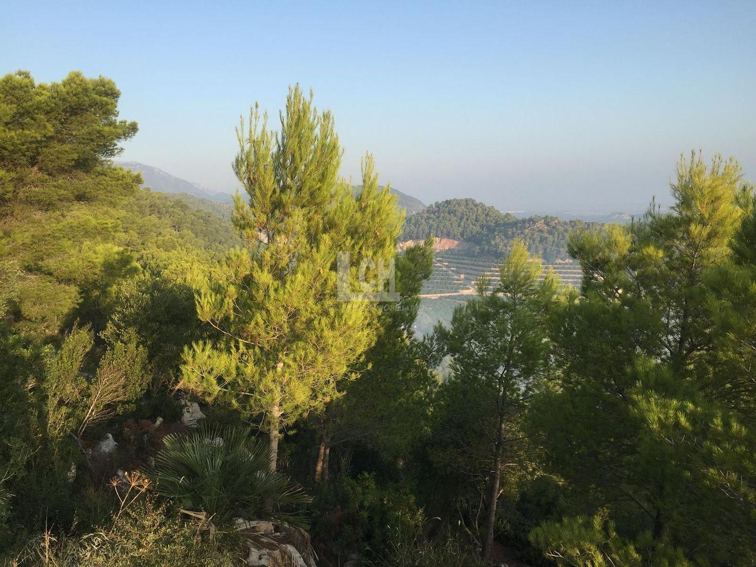 For sale of land in Favara