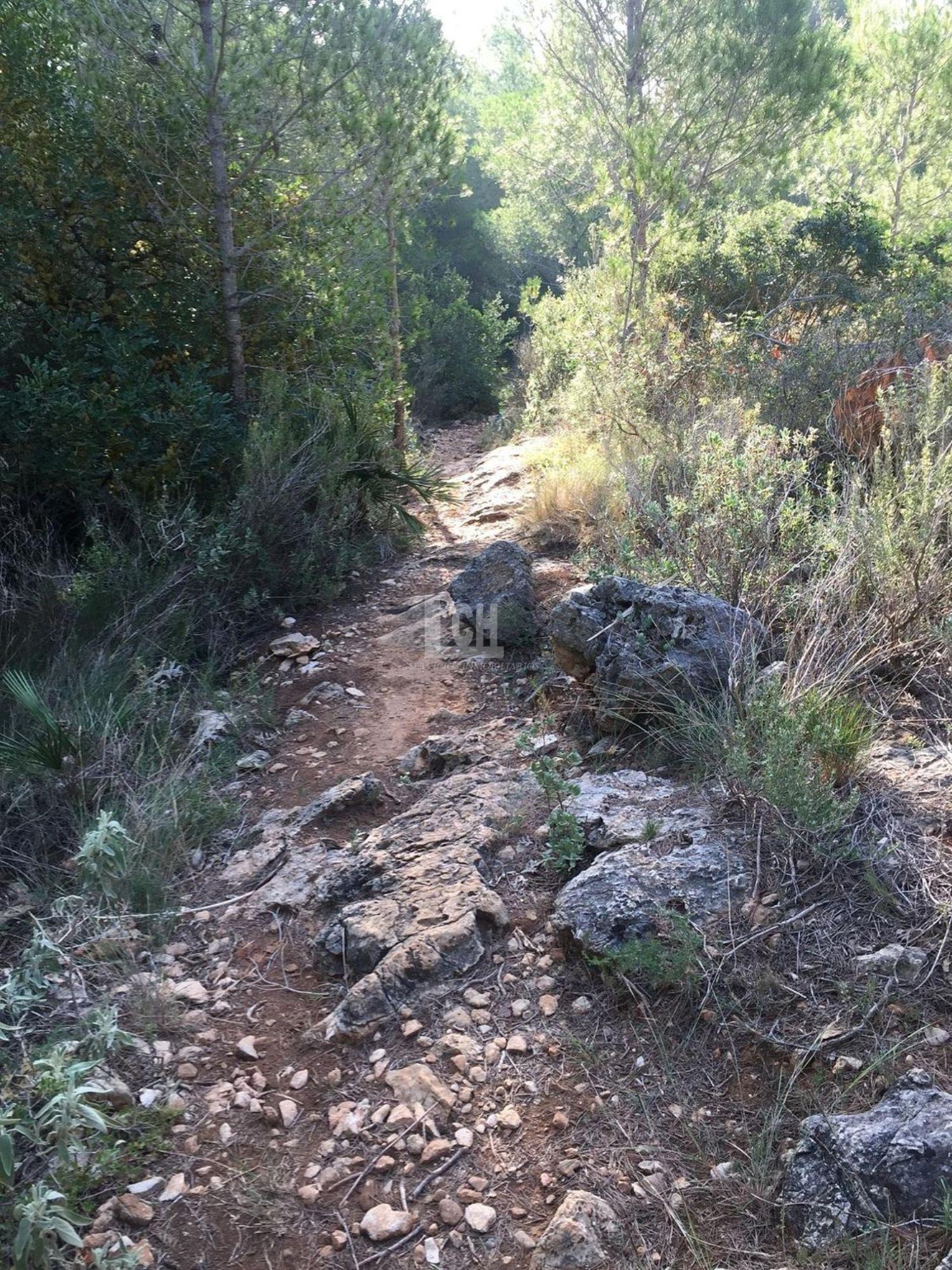 For sale of land in Favara