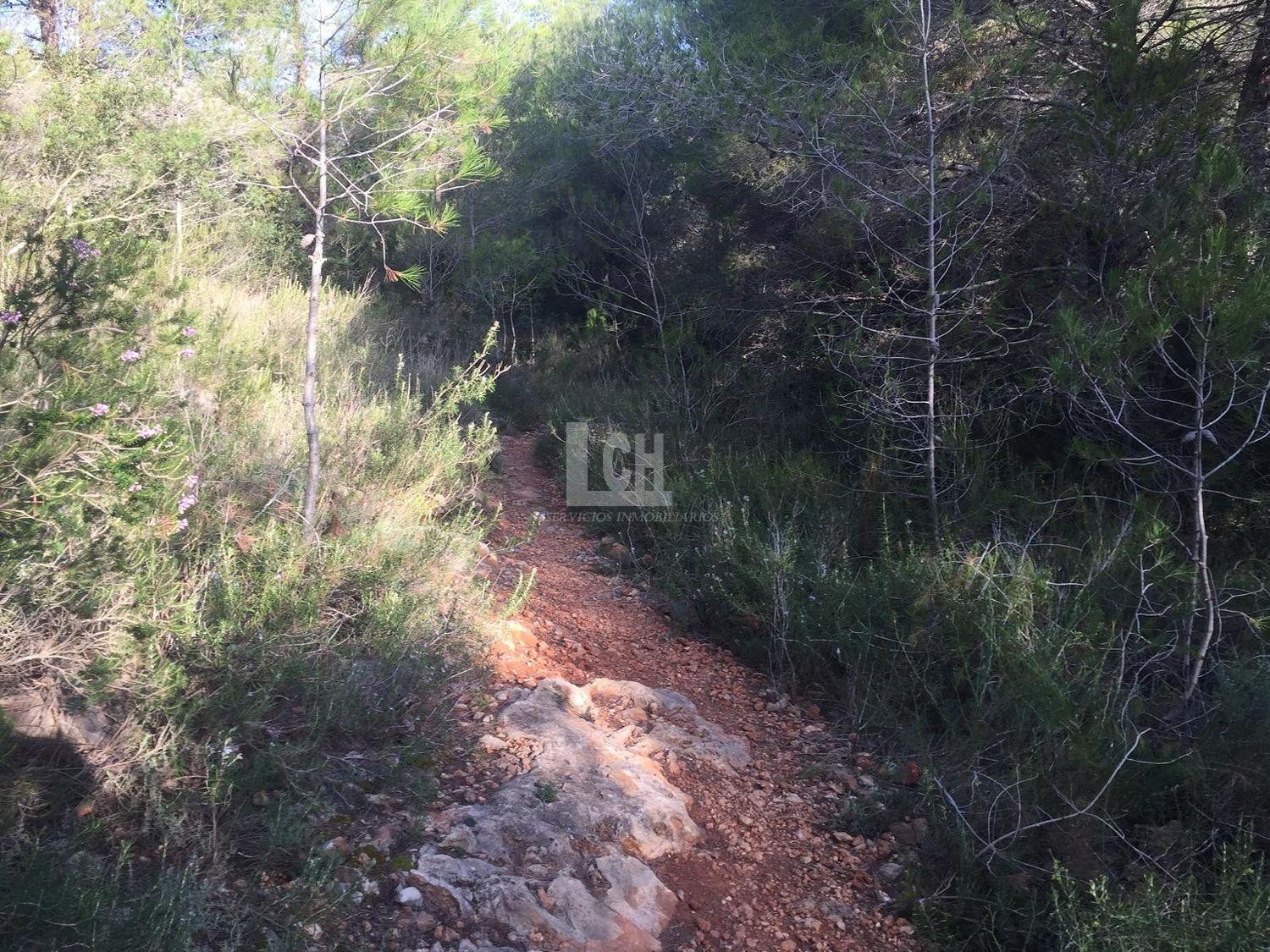 For sale of land in Favara
