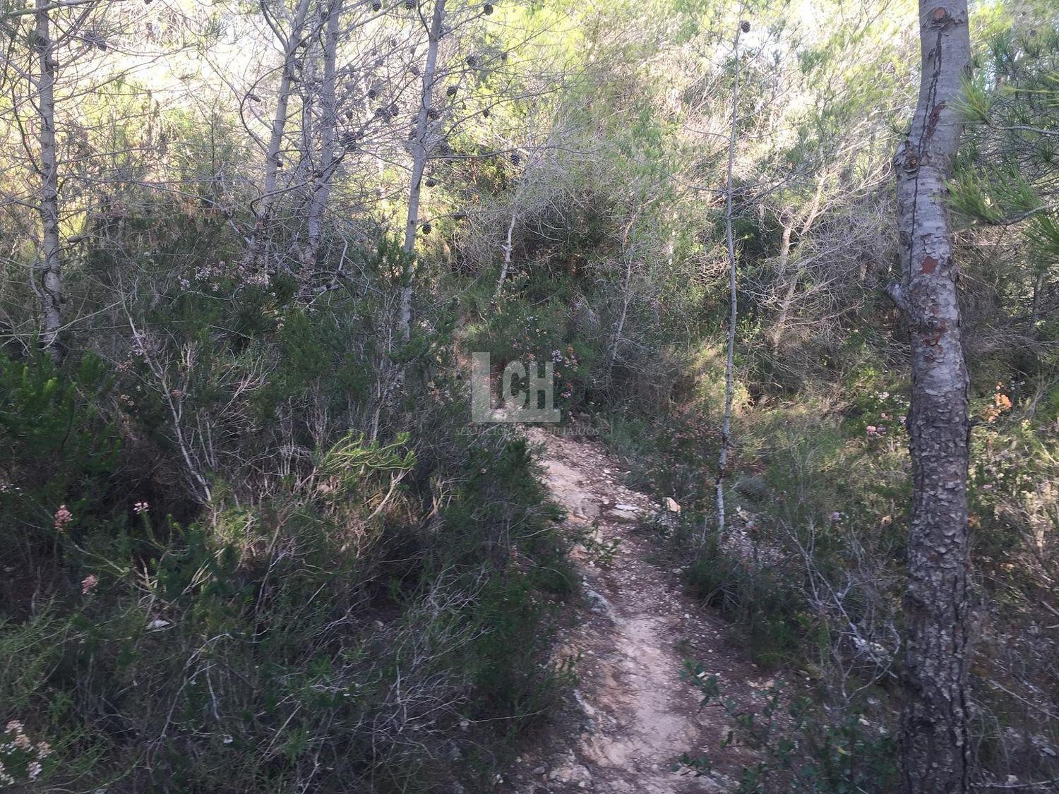For sale of land in Favara