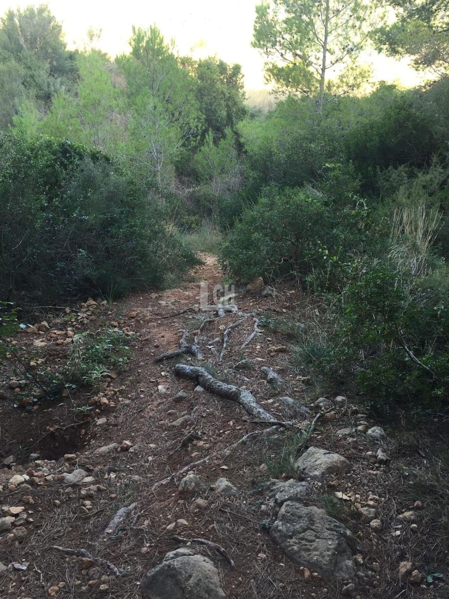 For sale of land in Favara