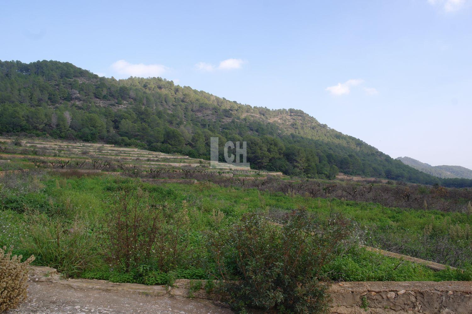For sale of land in Favara