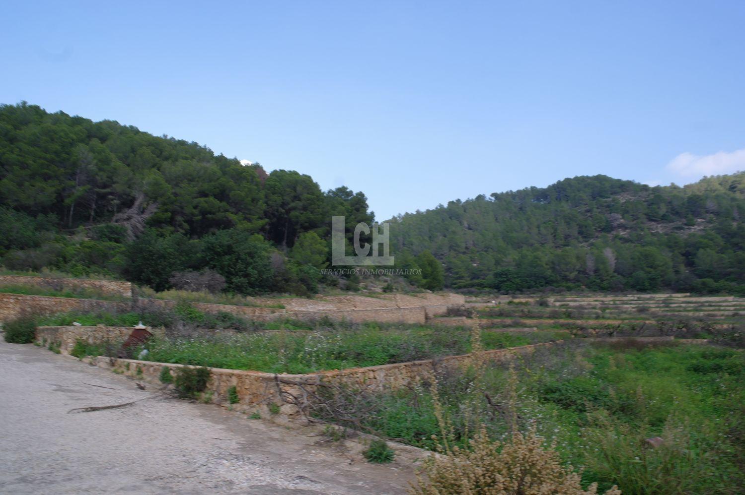 For sale of land in Favara
