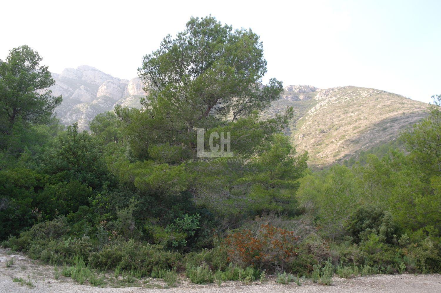 For sale of land in Favara