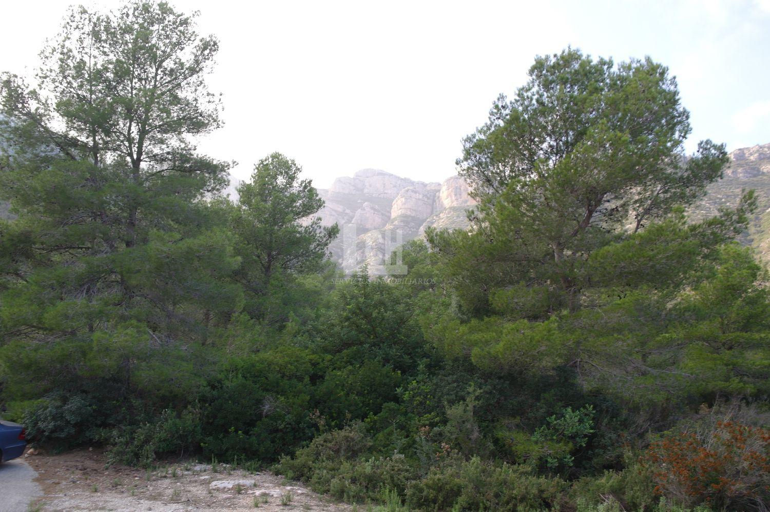 For sale of land in Favara
