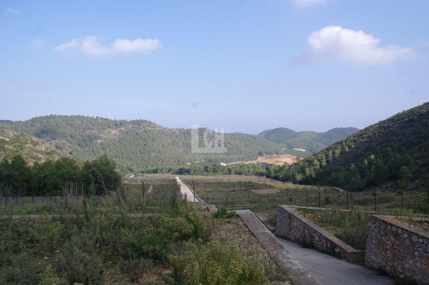 For sale of land in Favara