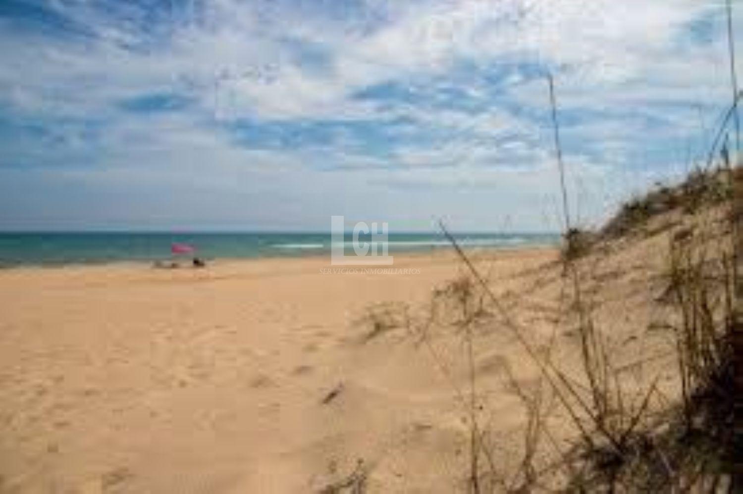 For sale of land in Favara