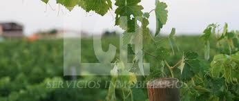 Venta de bodega en Ciudad Real