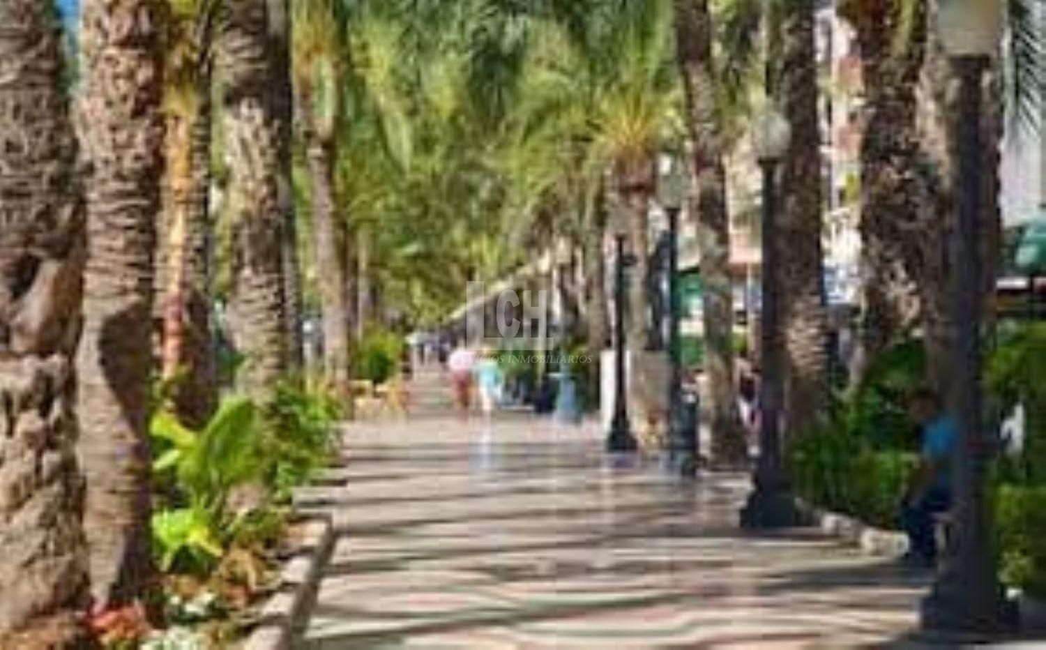 Venta de terreno en Torrent