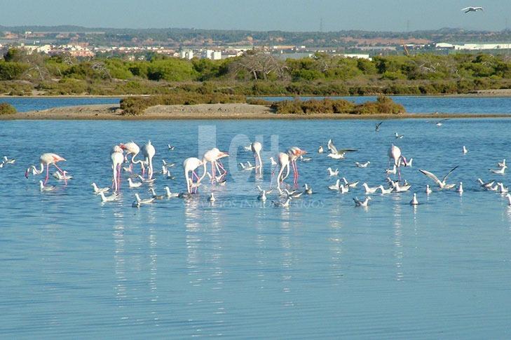 Venta de villa en San pedro del pinatar