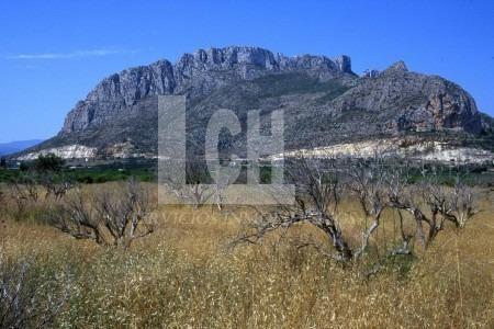 Venta de villa en El verger